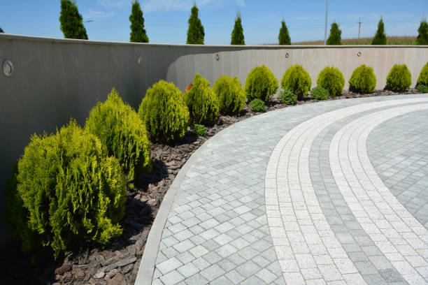 Best Residential Paver Driveway  in Winchester, VA